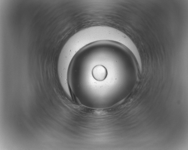 X0000061750376200512161723