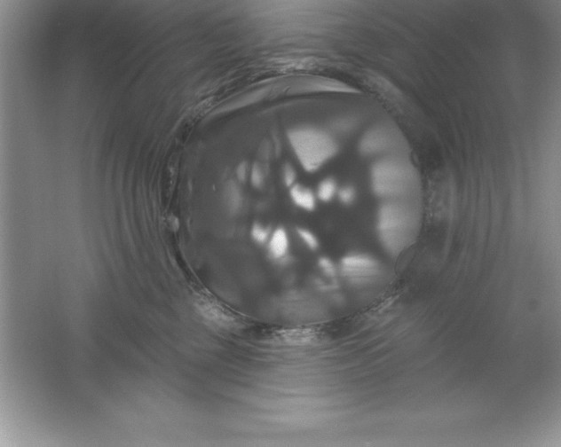 X0000061750377200512161723