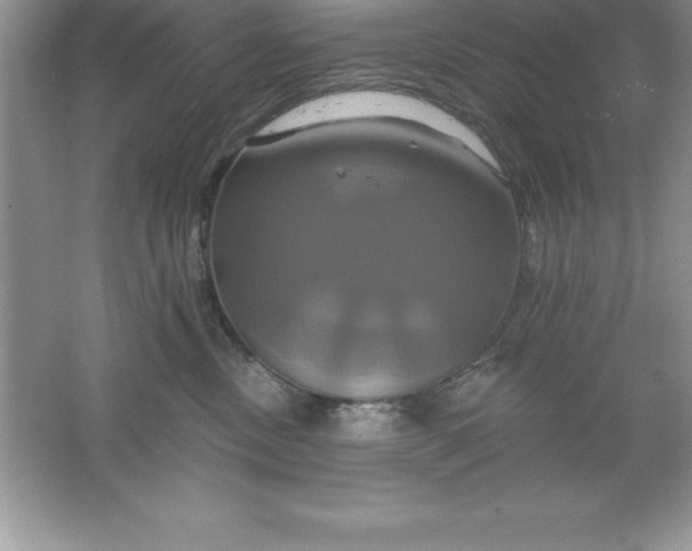 X0000061750378200512161723