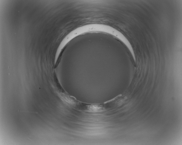 X0000061750380200512161723