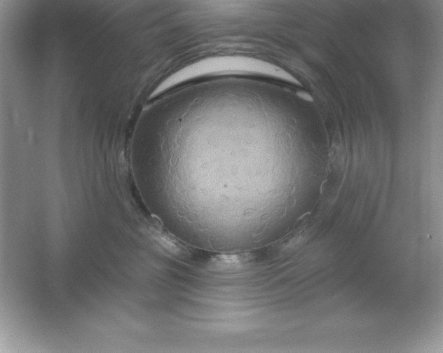 X0000061750381200512161723