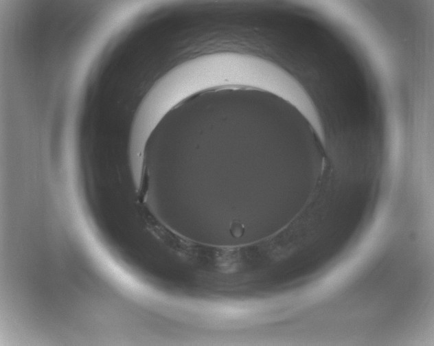 X0000061750382200512161723