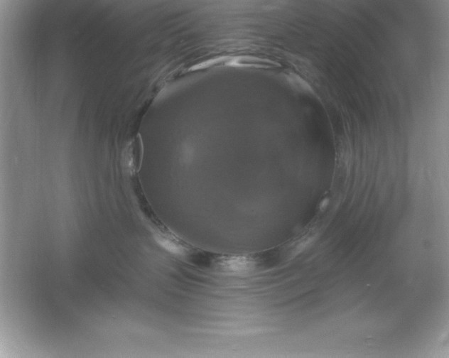 X0000061750383200512161723