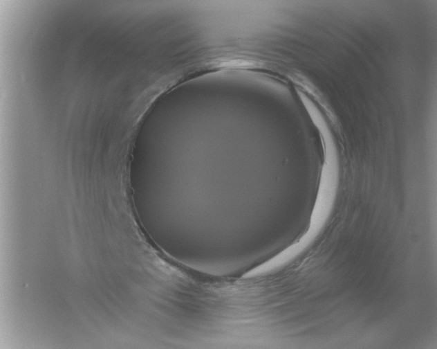 X0000061750385200512161722