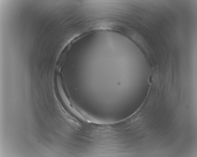 X0000061750386200512161722