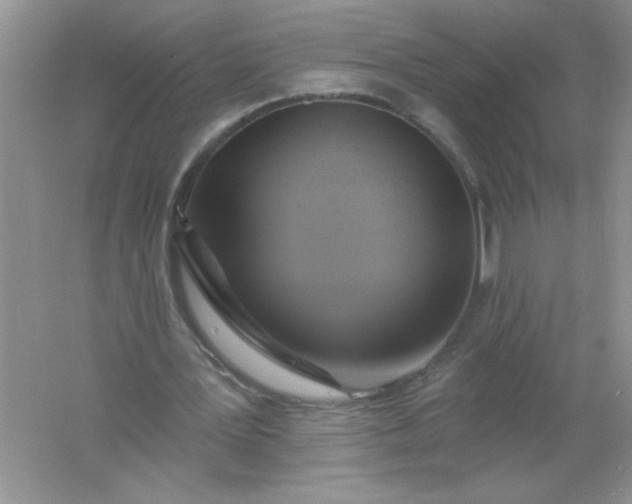 X0000061750387200512161722