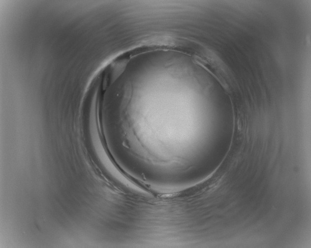 X0000061750388200512161722