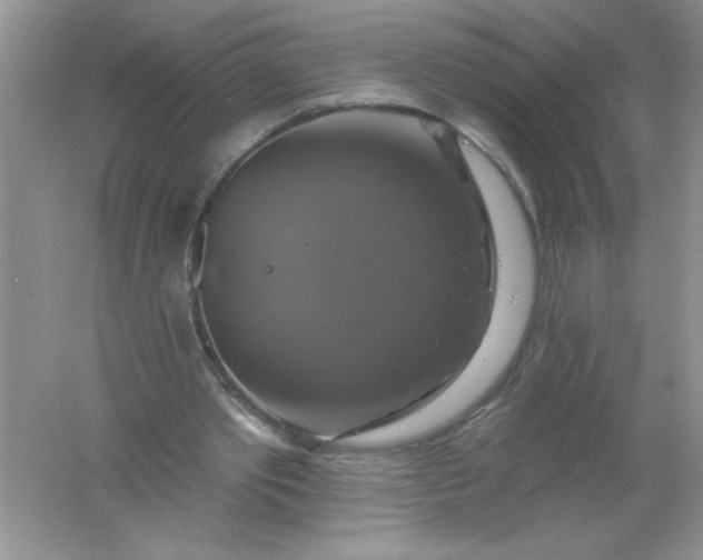 X0000061750389200512161722