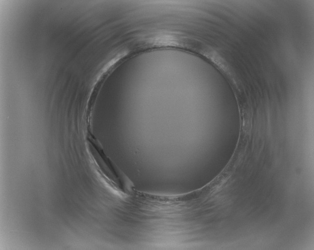 X0000061750390200512161722