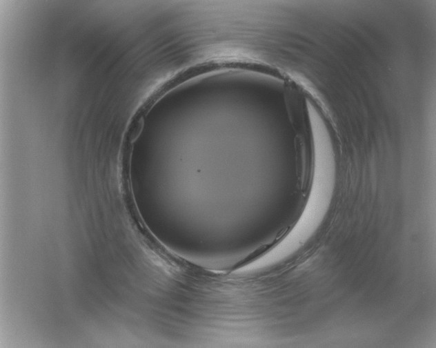 X0000061750391200512161722