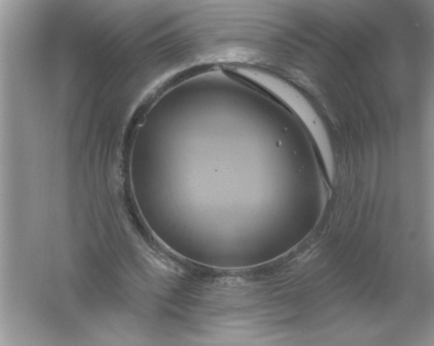 X0000061750392200512161722