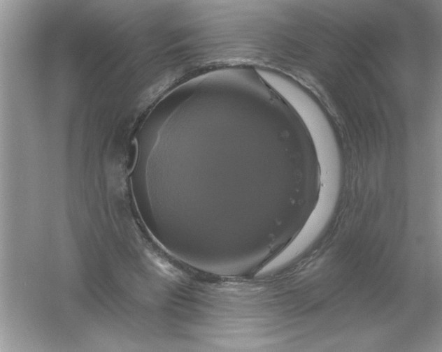 X0000061750393200512161722