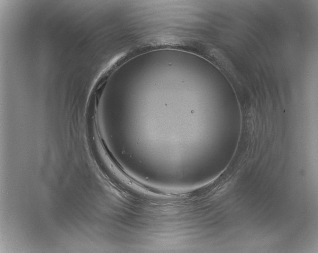 X0000061750395200512161722