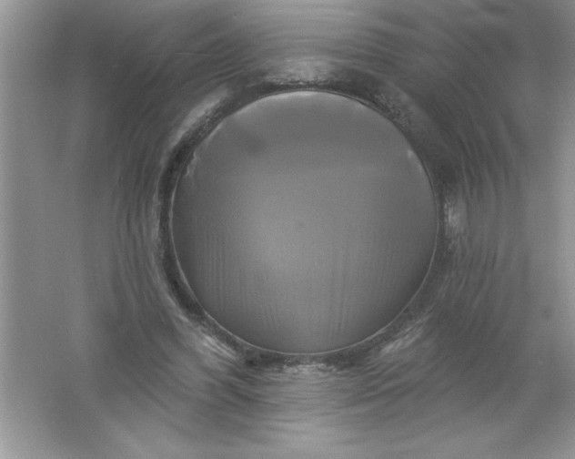 X0000061750396200512161722