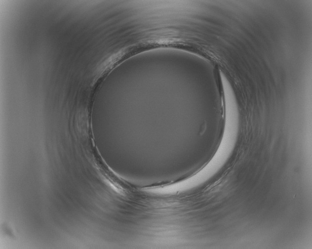 X0000061750397200512161722