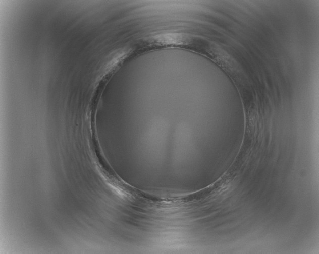 X0000061750398200512161722