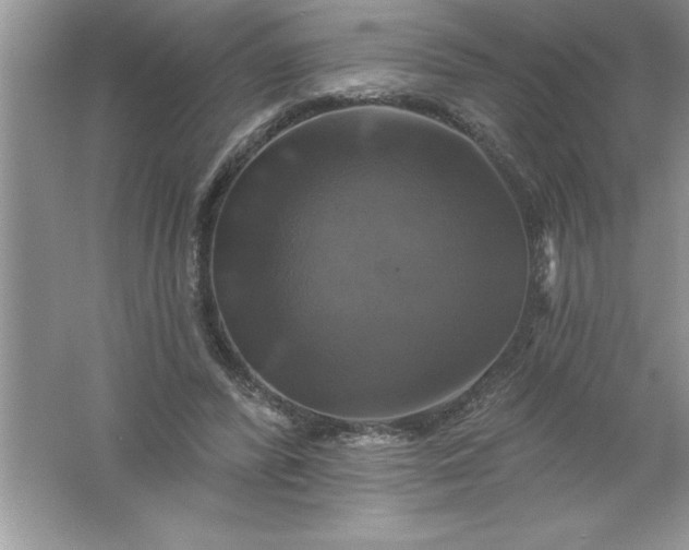 X0000061750400200512161722