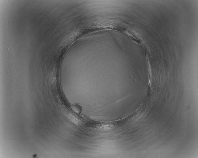 X0000061750402200512161722