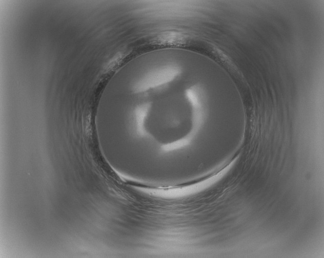 X0000061750403200512161722