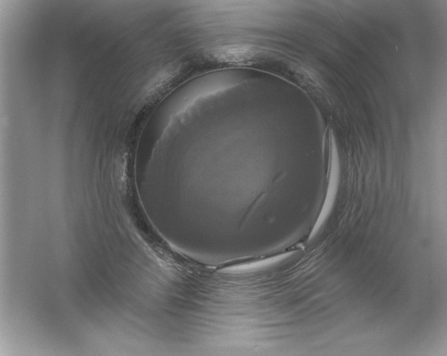 X0000061750404200512161722