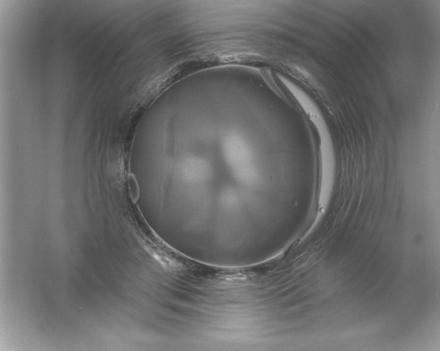 X0000061750405200512161722