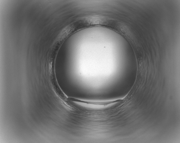 X0000061750406200512161722