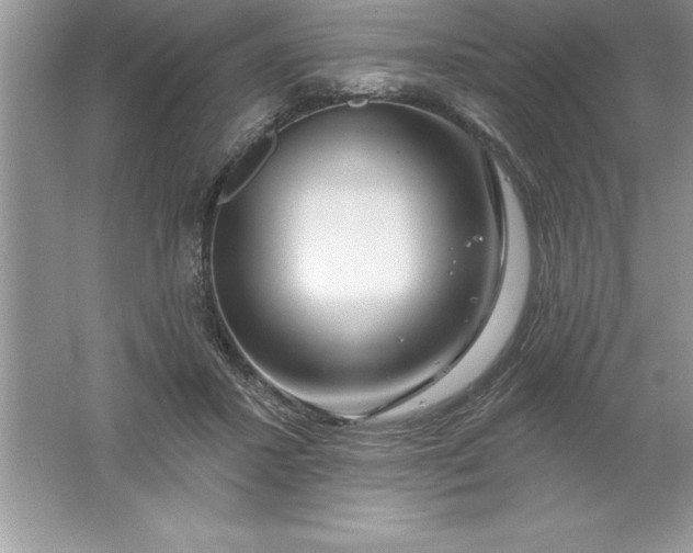 X0000061750407200512161722