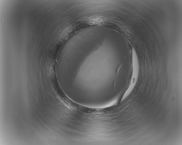 X0000061750408200512161722