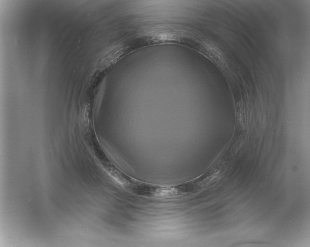 X0000061750410200512161722