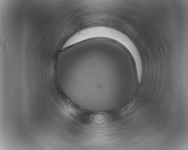 X0000061750412200512161722