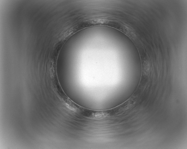 X0000061750414200512161722