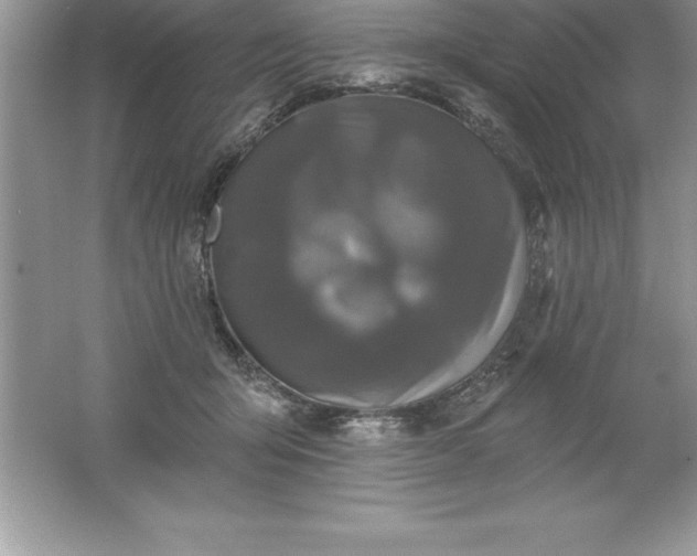 X0000061750415200512161722