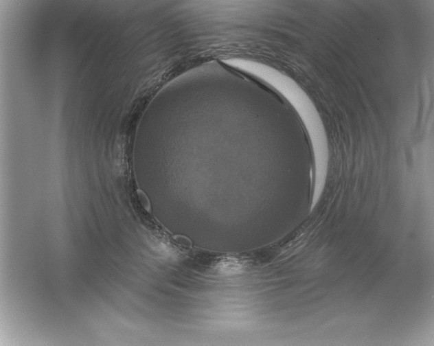 X0000061750416200512161722