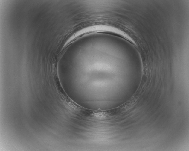 X0000061750417200512161722