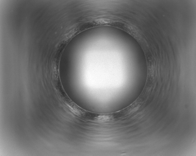 X0000061750418200512161722