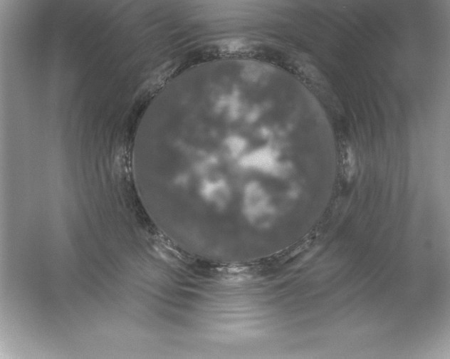 X0000061750419200512161722