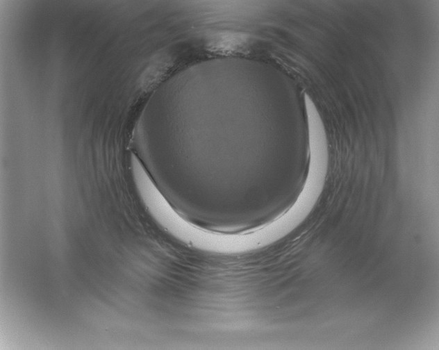 X0000061750420200512161722