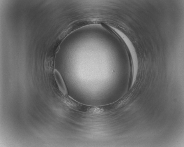 X0000061750421200512161722