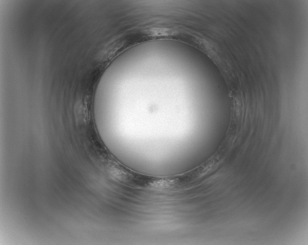 X0000061750422200512161722