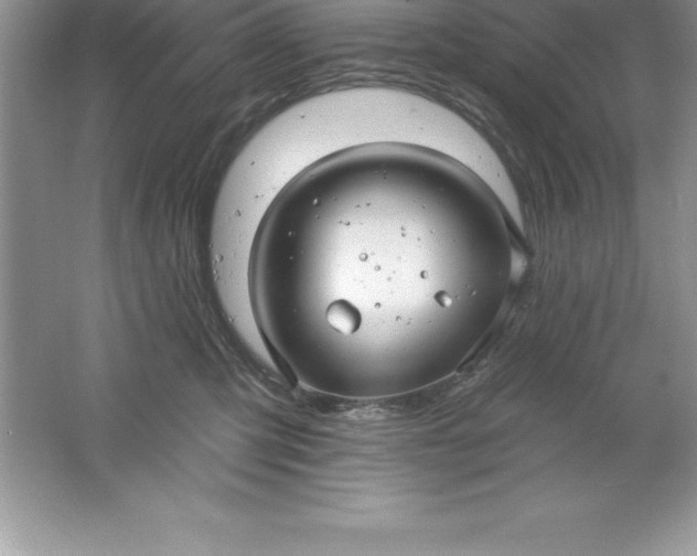 X0000061750423200512161722