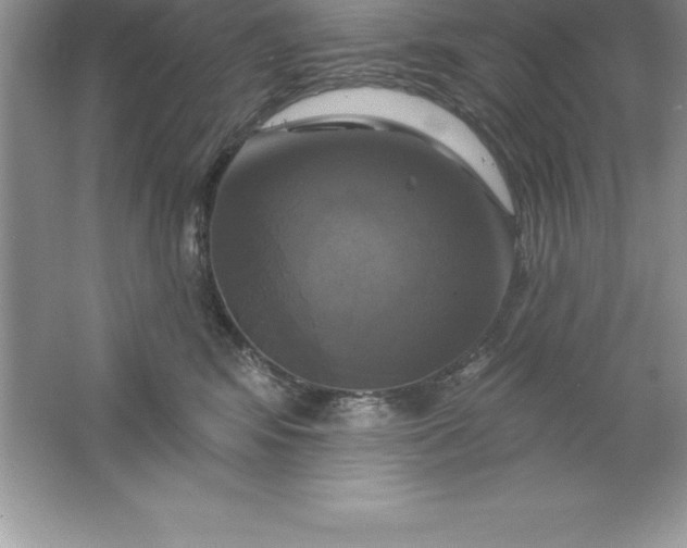 X0000061750424200512161722