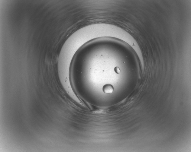 X0000061750425200512161722