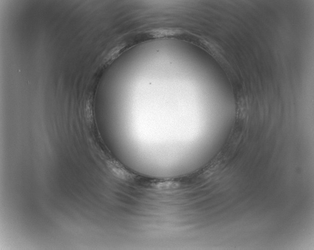 X0000061750426200512161722