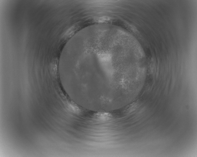 X0000061750427200512161722