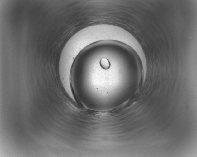 X0000061750428200512161722