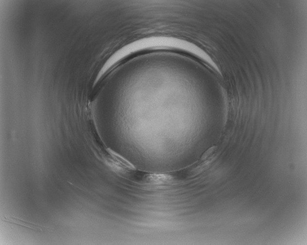 X0000061750429200512161722