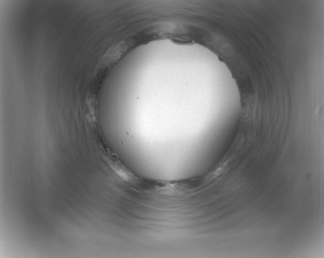 X0000061750430200512161722