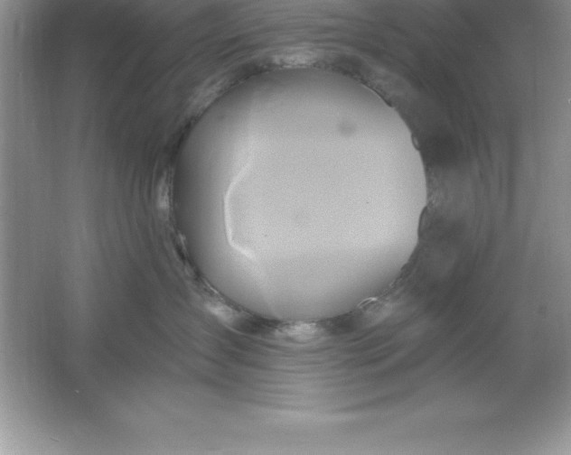 X0000061750431200512161722