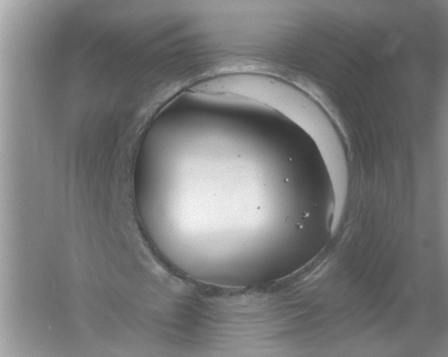 X0000061750433200512161721