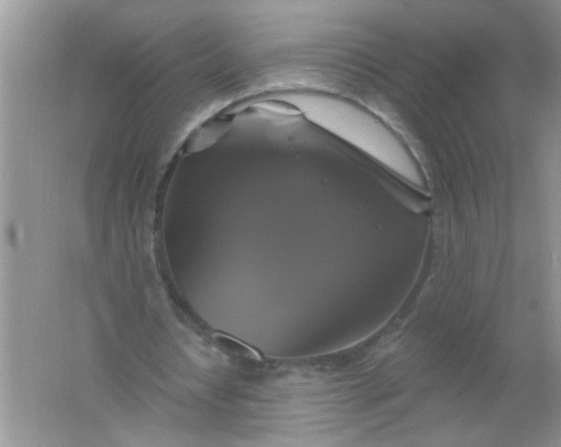 X0000061750434200512161721